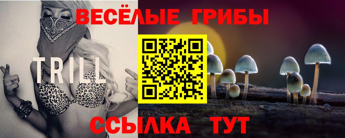 Набережные Челны  Галлюциногенные грибы прущие грибы  Вход с VPN  Псилоцибиновые грибы мухоморы 